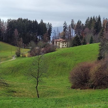 ボッシコGreen House Mountain Lake Iseo Hospitalityアパートメント エクステリア 写真