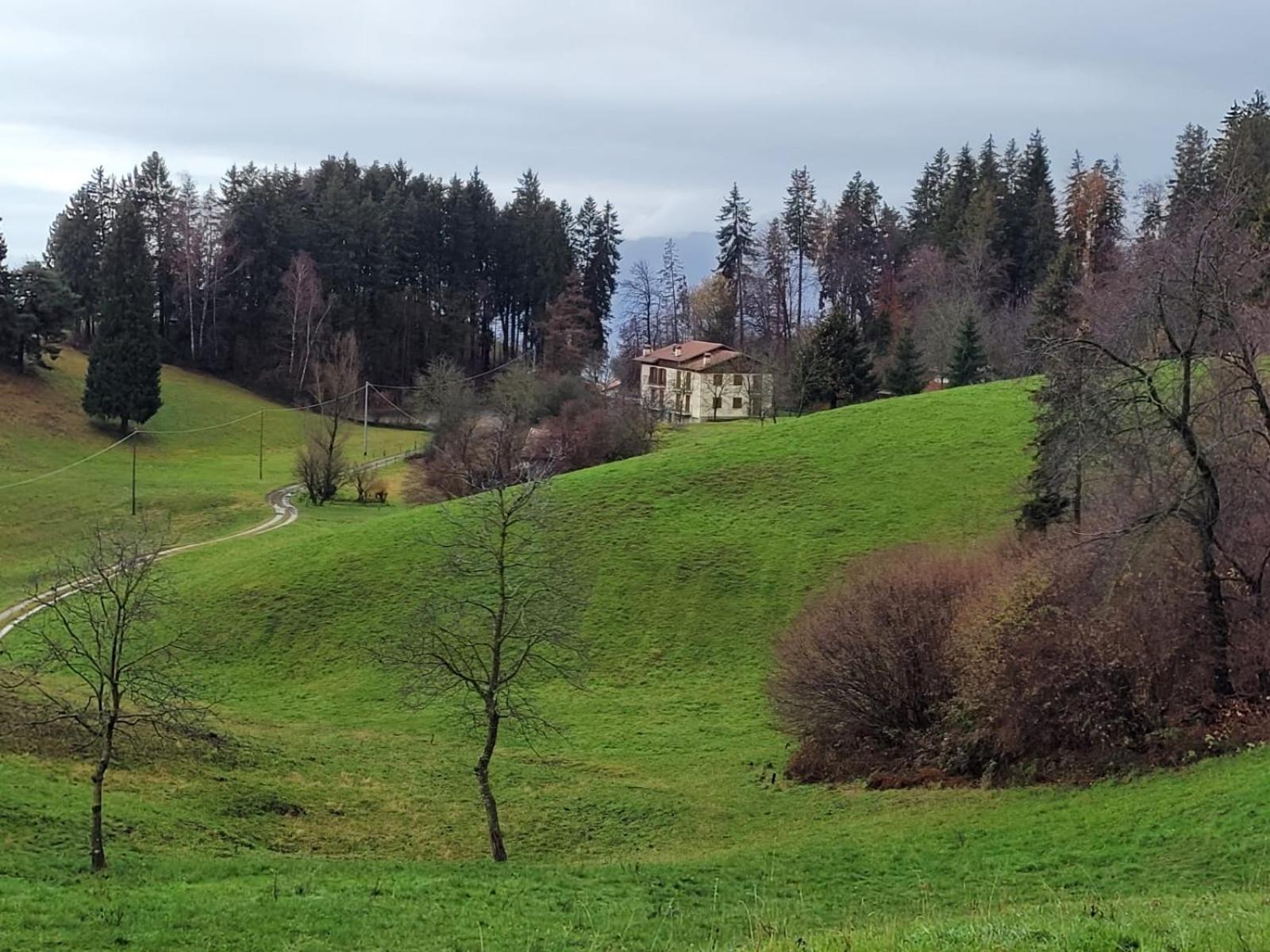ボッシコGreen House Mountain Lake Iseo Hospitalityアパートメント エクステリア 写真