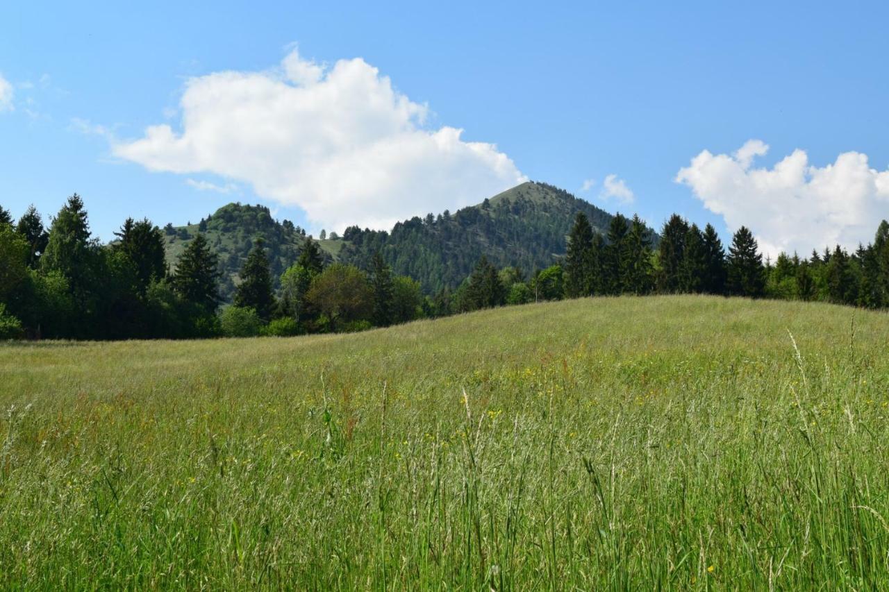 ボッシコGreen House Mountain Lake Iseo Hospitalityアパートメント エクステリア 写真